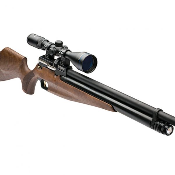 webley raider 12 airgun