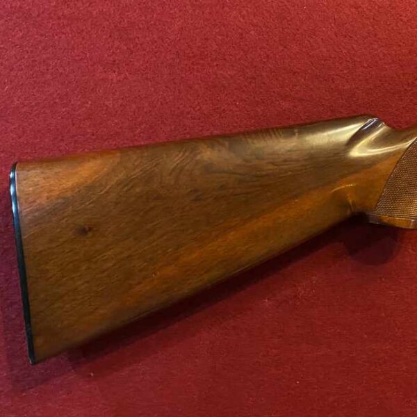 franchi stock used