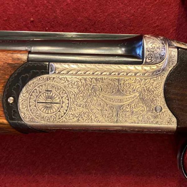 gun used