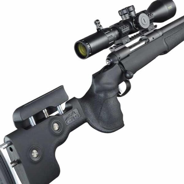 savage arms 10 grs 308 win