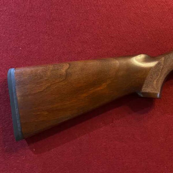 walnut stock