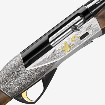 raffaello limited edition