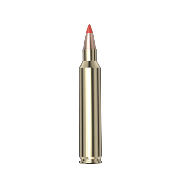 204 ruger v max