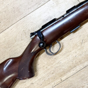 cz American 22 lr used