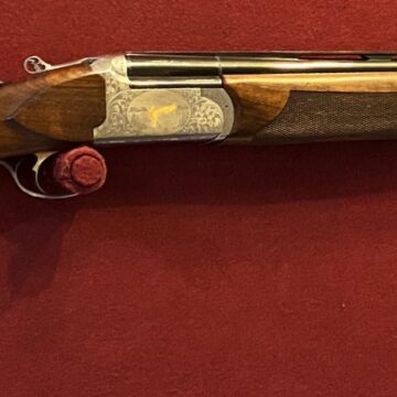 Bettinsoli Diamond Sport Used