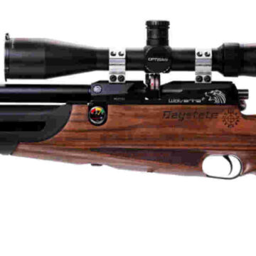 Daystate Wolverine 2 Cylinder Type C