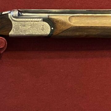 Bernardelli Orione L