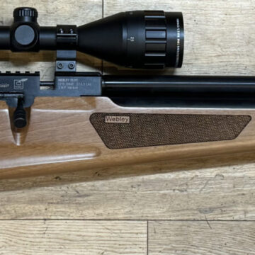 Webley Raider Classic .22