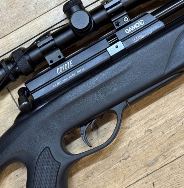 gamo coyote