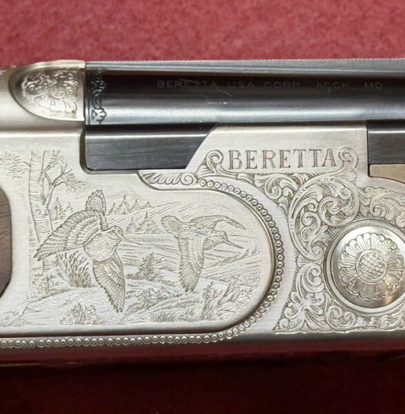 Beretta 20 bore